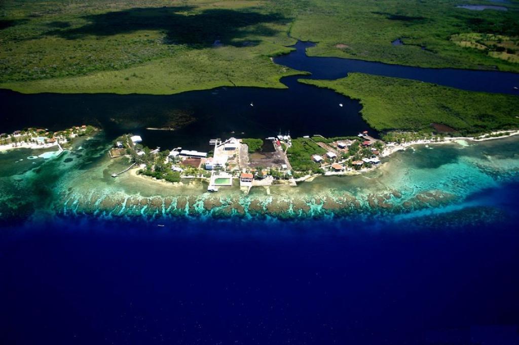 Coral View Beach Resort Utila Exteriér fotografie